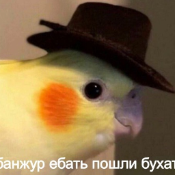 Billbobo