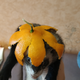 ������ ������������ JoRikUP