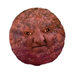 Sylvaneer