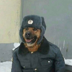 Злой охранник