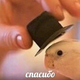 ����� ����� ������ ���� �����������