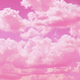 ������ ������������ pink.sky