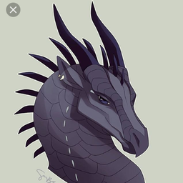 LasicaMiha