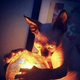 ������ ������������ TemarFirehurt