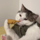 ������ ������������ jamalmash