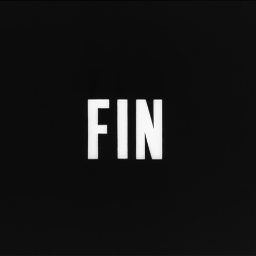 FiN13