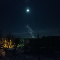 Kokoshka001