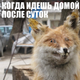������ ������������ AksiniaBazarova