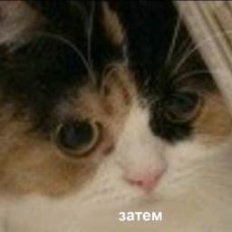 Hy3a4eM