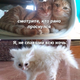 ������ ������������ jjbnx