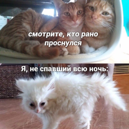 jjbnx