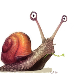 Pineapple.snail