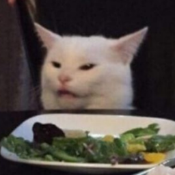 jane2t