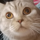 ������ ������������ hrdmn