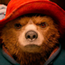 PaddingtonBaby