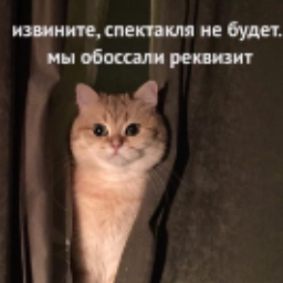 ZEForZEF