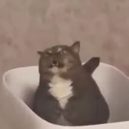 UBaHM