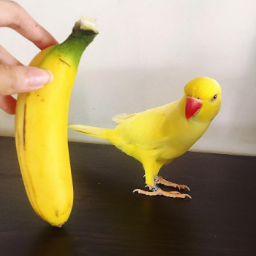 Можно давать попугаям банан. Банановый попугай. Птица из фруктов. Попугайчики бананчики. Фрукты для попугаев.