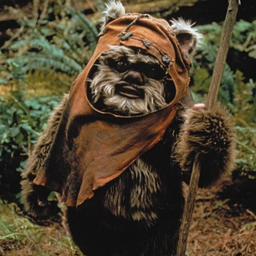 Ewok Porn