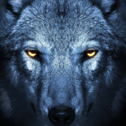 Wildspirit1593