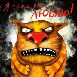 woy666
