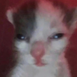 TTykan