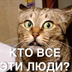 Как сделать старинный арбалет