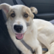 Аватар пользователя yasha.doggy