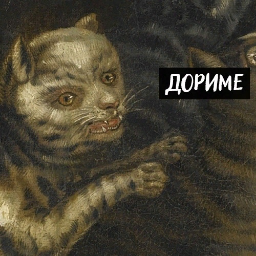 mrnkrsnv1