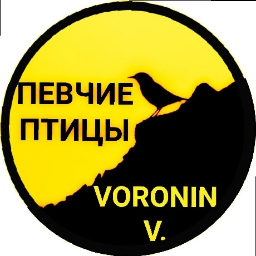 Voronin2020