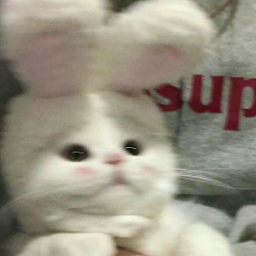Jeww