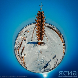 PhotoYakutiaOne