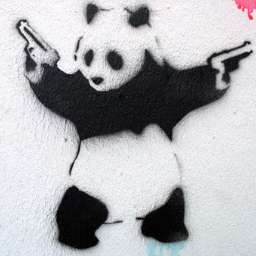 FatBaldPanda