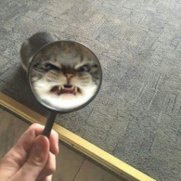 Zhlodr93