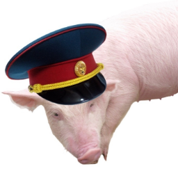 PIGMEHT