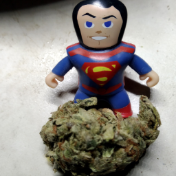Sativa1