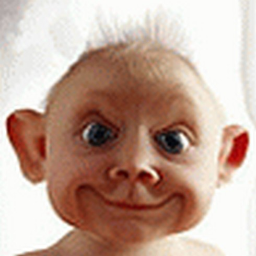 IgSmitt