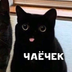 LiyaFox