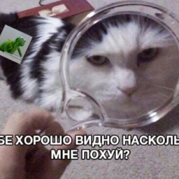 vasich1130