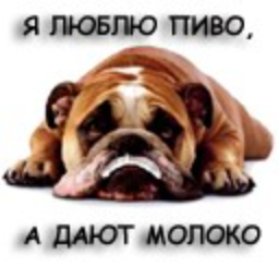 Aslai