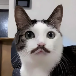 LastAlex