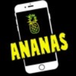 AnanasRepair