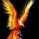 ������ ������������ pticafenix88