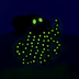 Crowlingobserver