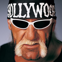 HollywoodHogan
