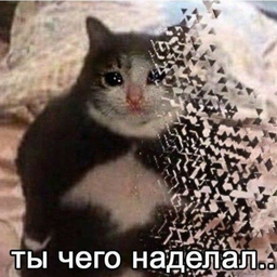 Lekshuz
