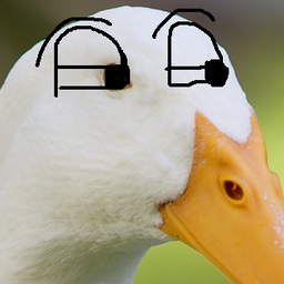 Oddduck0