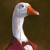 TheWhiteGoose