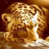 Jaguarx