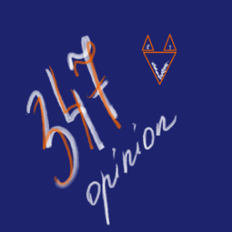 opinion347